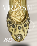 VIRAASAT A11
