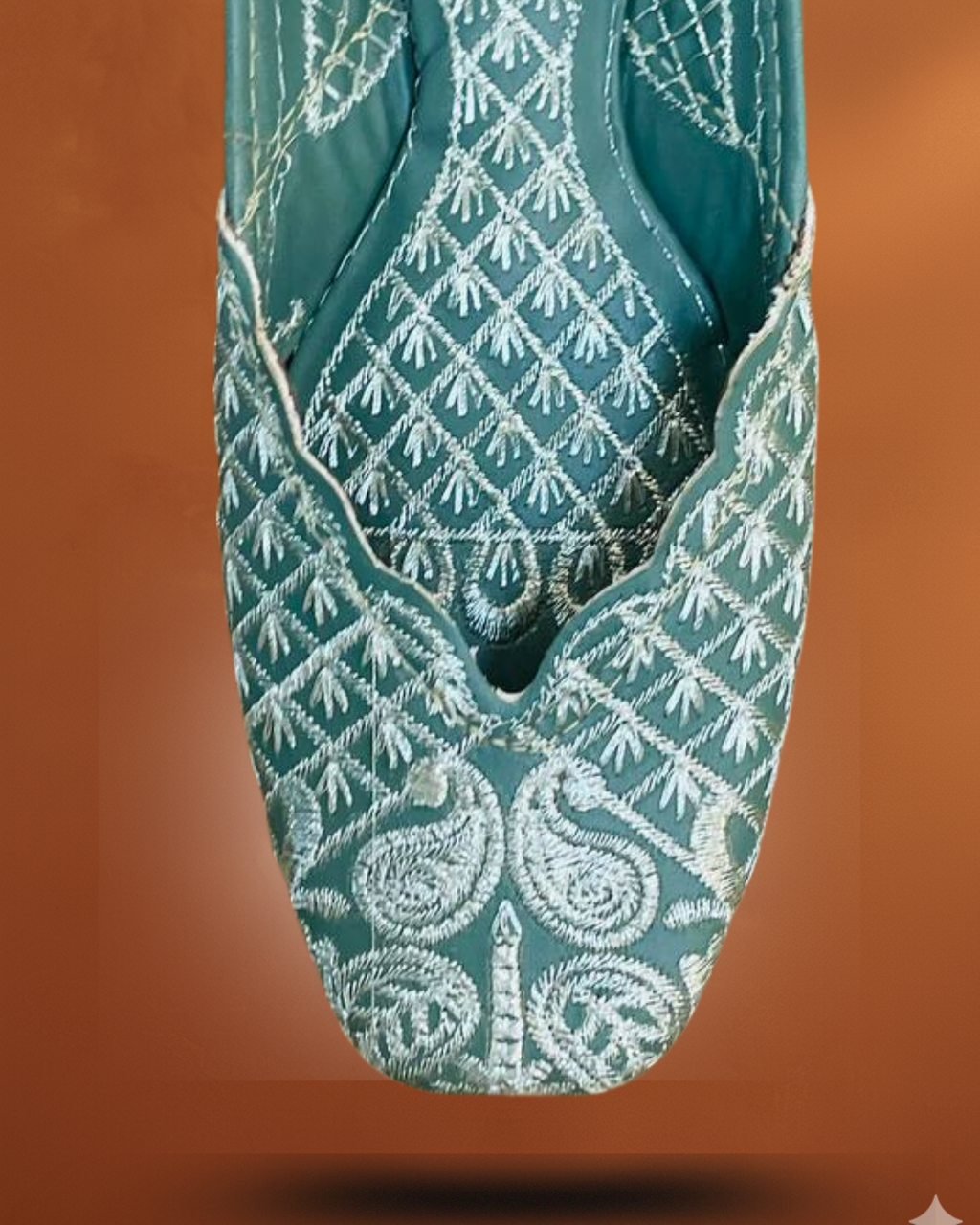 Lohari punjabi jutti - noor digsion