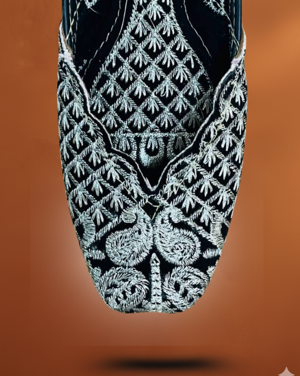 Lohari punjabi jutti - noor digsion