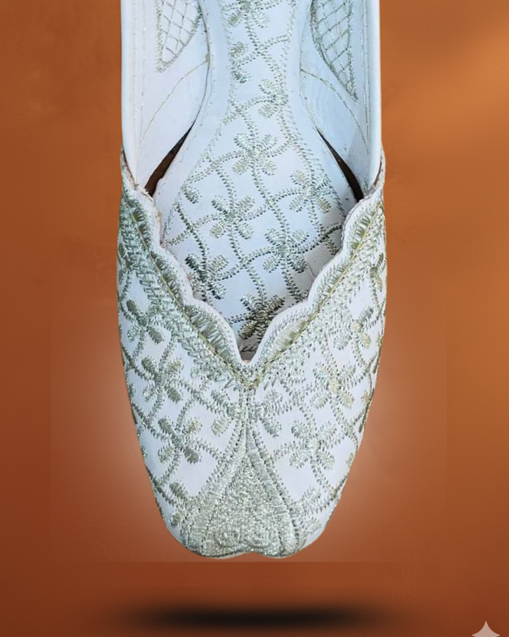 Lohari punjabi jutti - noor digsion